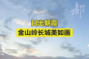 球迷不满德甲批准国外投资人进入！持续抗议导致本轮多场比赛中断